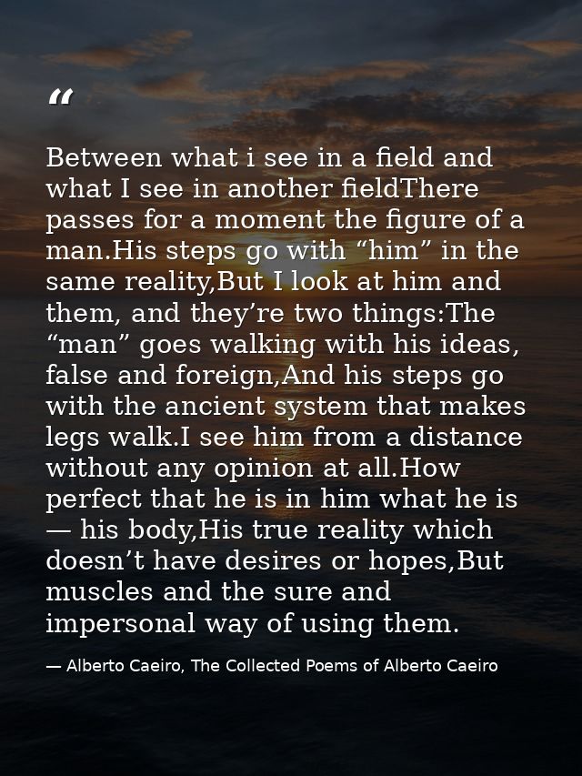 Between what i see in a field and what I see in another fieldThere passes for a moment the figure of a man.His steps go  — Alberto Caeiro, The Collected Poems of Alberto Caeiro