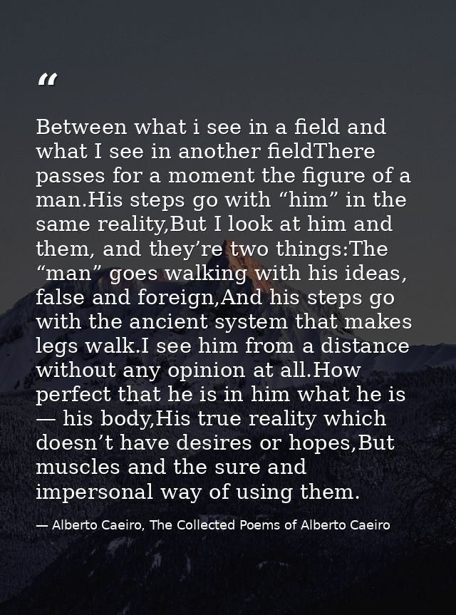 Between what i see in a field and what I see in another fieldThere passes for a moment the figure of a man.His steps go  — Alberto Caeiro, The Collected Poems of Alberto Caeiro