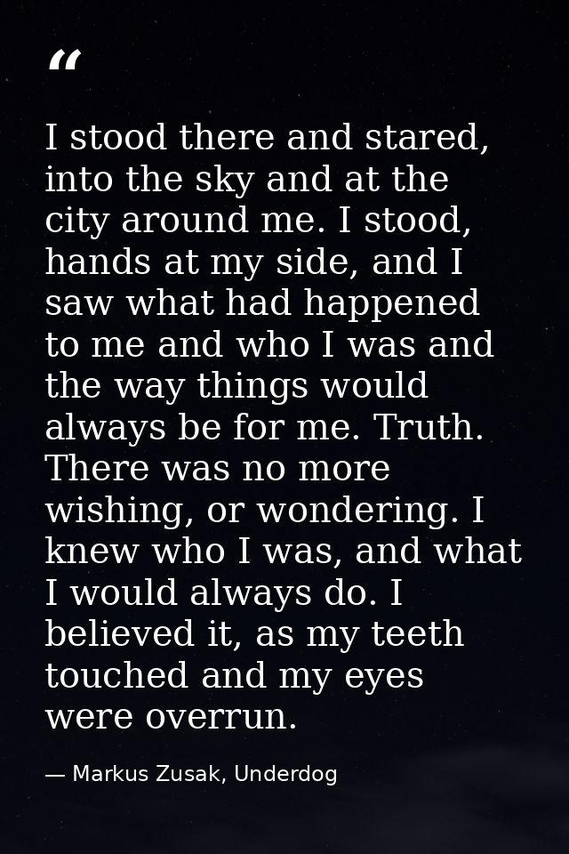 I stood there and stared, into the sky and at the city around me. I stood, hands at my side, and I saw what had happened — Markus Zusak, Underdog