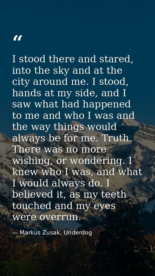 I stood there and stared, into the sky and at the city around me. I stood, hands at my side, and I saw what had happened — Markus Zusak, Underdog
