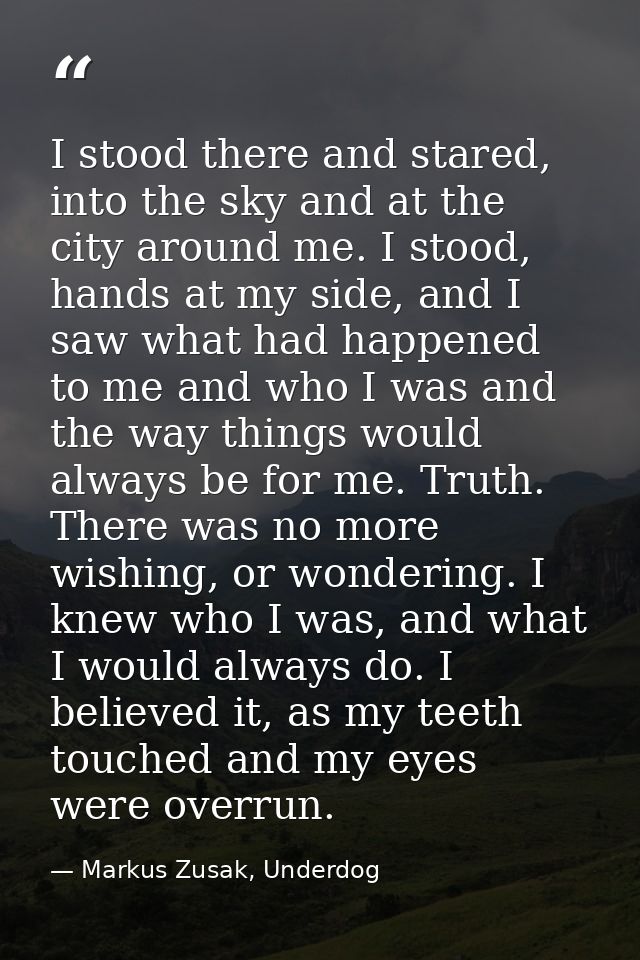 I stood there and stared, into the sky and at the city around me. I stood, hands at my side, and I saw what had happened — Markus Zusak, Underdog