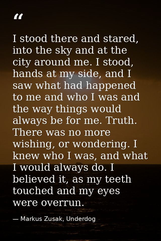 I stood there and stared, into the sky and at the city around me. I stood, hands at my side, and I saw what had happened — Markus Zusak, Underdog