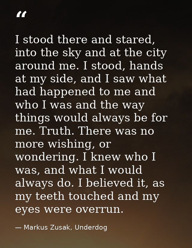 I stood there and stared, into the sky and at the city around me. I stood, hands at my side, and I saw what had happened — Markus Zusak, Underdog