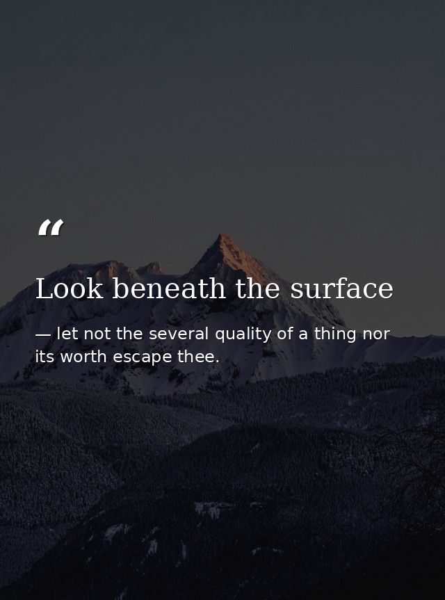 Look beneath the surface — let not the several quality of a thing nor its worth escape thee.