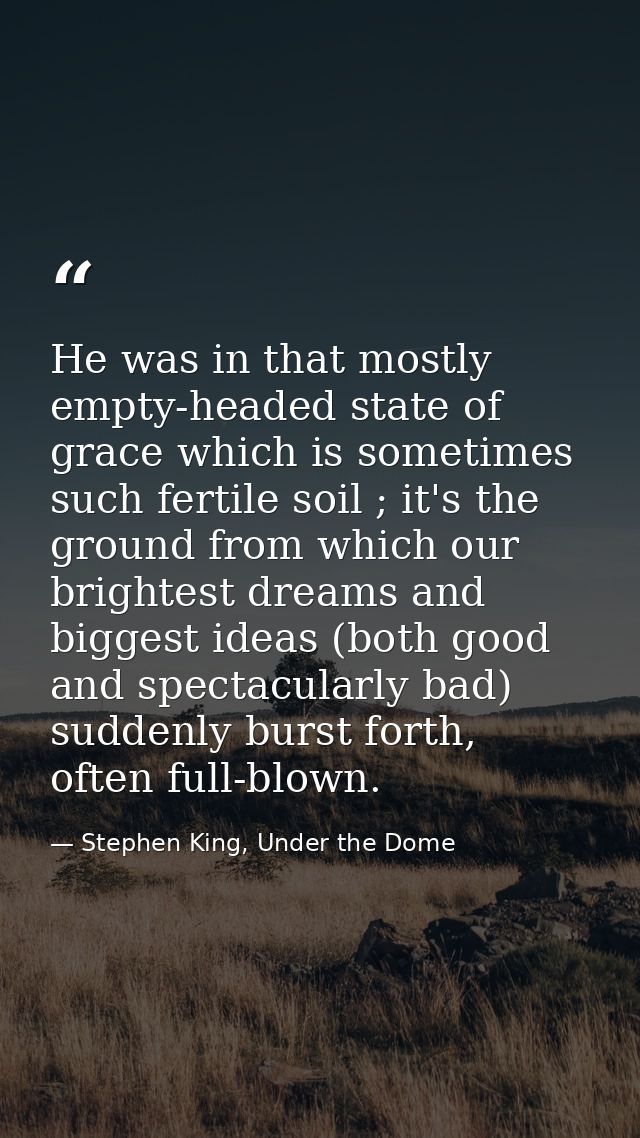 He was in that mostly empty-headed state of grace which is sometimes such fertile soil ; it's the ground from which our  — Stephen King, Under the Dome