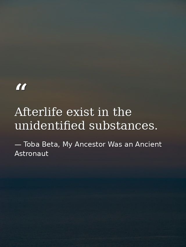 Afterlife exist in the unidentified substances. — Toba Beta, My Ancestor Was an Ancient Astronaut