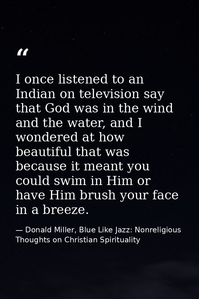 I once listened to an Indian on television say that God was in the wind and the water, and I wondered at how beautiful t — Donald Miller, Blue Like Jazz: Nonreligious Thoughts on Christian Spirituality