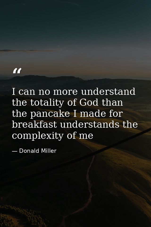 I can no more understand the totality of God than the pancake I made for breakfast understands the complexity of me — Donald Miller