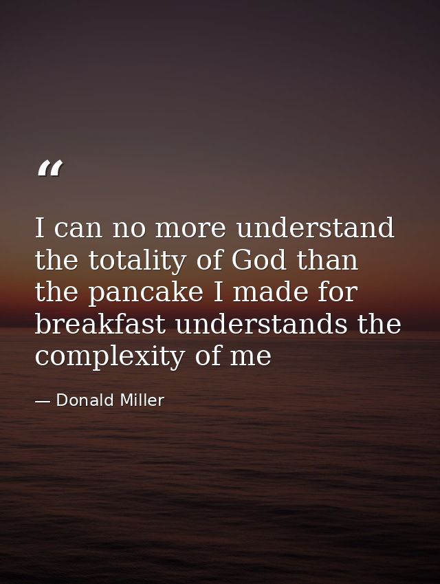 I can no more understand the totality of God than the pancake I made for breakfast understands the complexity of me — Donald Miller