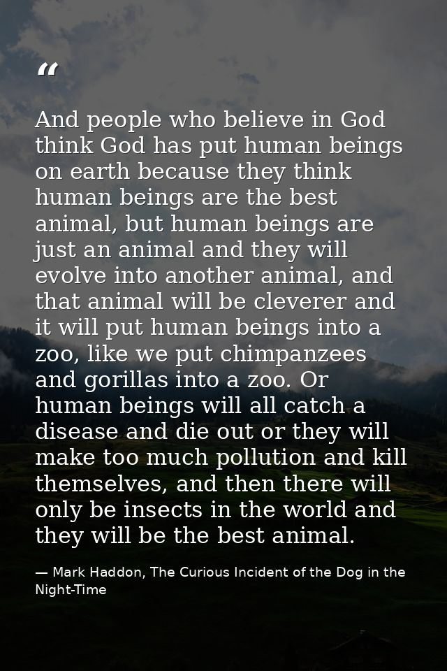 And people who believe in God think God has put human beings on earth because they think human beings are the best anima — Mark Haddon, The Curious Incident of the Dog in the Night-Time