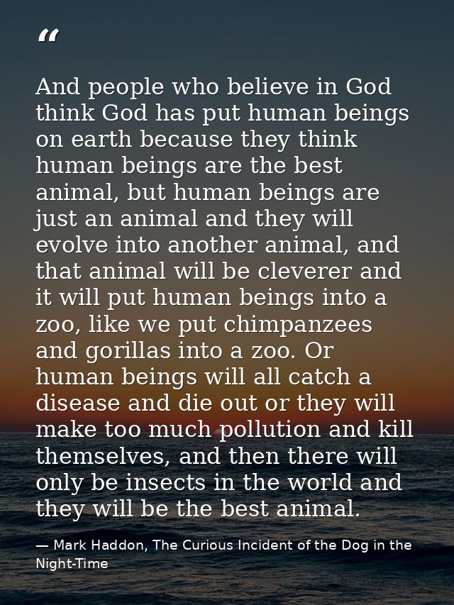 And people who believe in God think God has put human beings on earth because they think human beings are the best anima — Mark Haddon, The Curious Incident of the Dog in the Night-Time