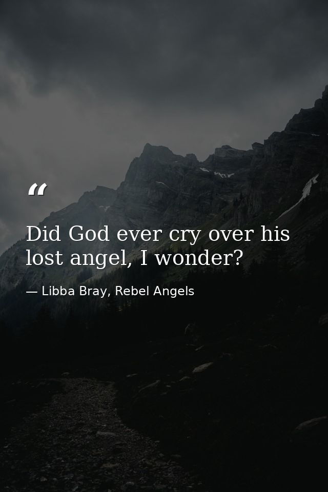 Did God ever cry over his lost angel, I wonder? — Libba Bray, Rebel Angels