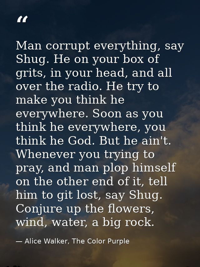 Man corrupt everything, say Shug. He on your box of grits, in your head, and all over the radio. He try to make you thin — Alice Walker, The Color Purple
