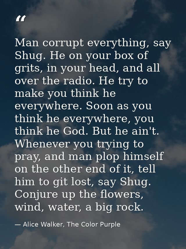 Man corrupt everything, say Shug. He on your box of grits, in your head, and all over the radio. He try to make you thin — Alice Walker, The Color Purple