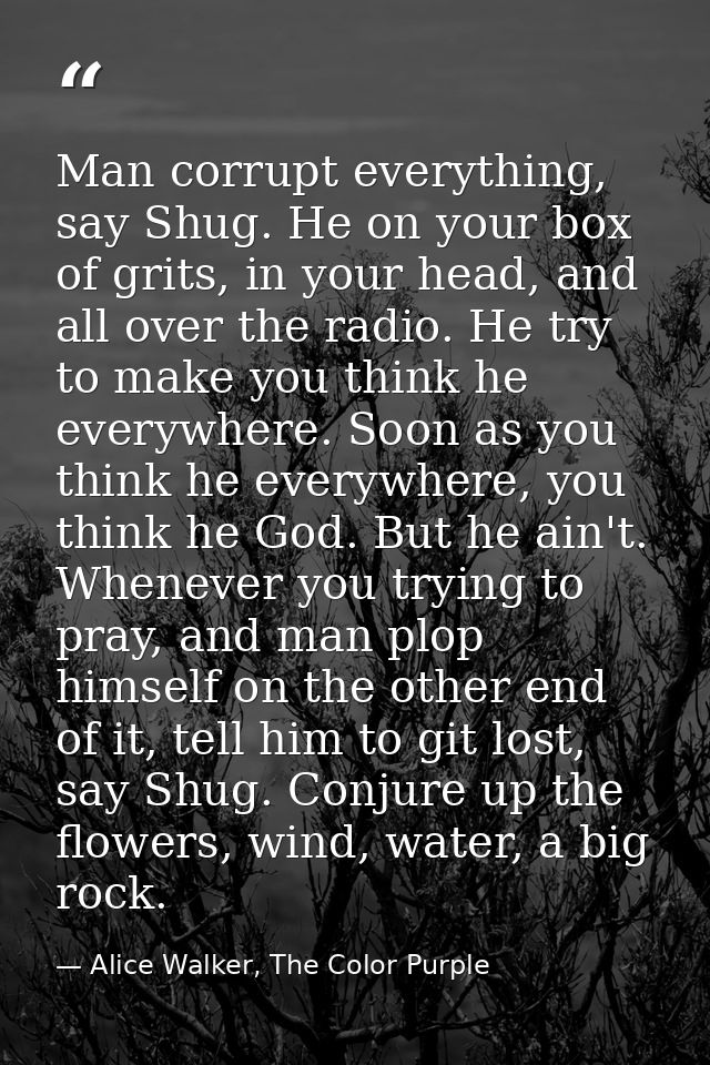 Man corrupt everything, say Shug. He on your box of grits, in your head, and all over the radio. He try to make you thin — Alice Walker, The Color Purple