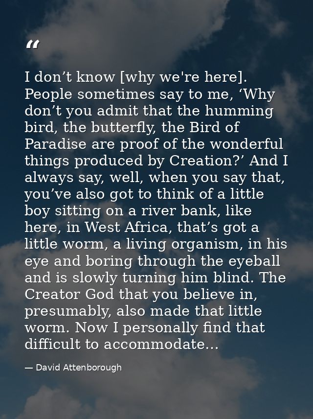 I don’t know [why we're here]. People sometimes say to me, ‘Why don’t you admit that the humming bird, the butterfly, th — David Attenborough