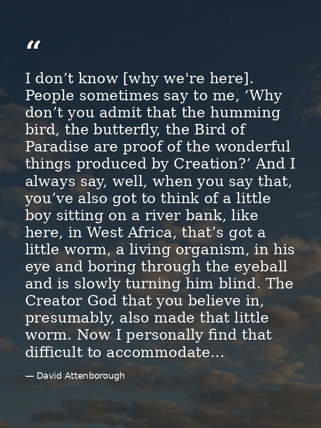 I don’t know [why we're here]. People sometimes say to me, ‘Why don’t you admit that the humming bird, the butterfly, th — David Attenborough