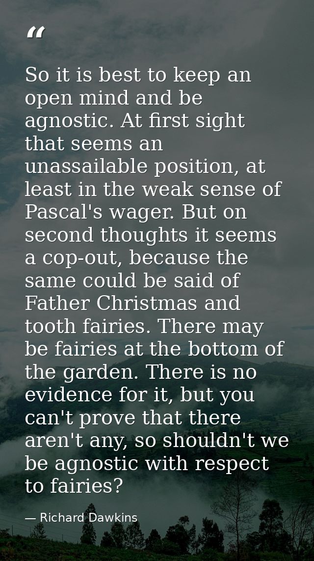 So it is best to keep an open mind and be agnostic. At first sight that seems an unassailable position, at least in the  — Richard Dawkins