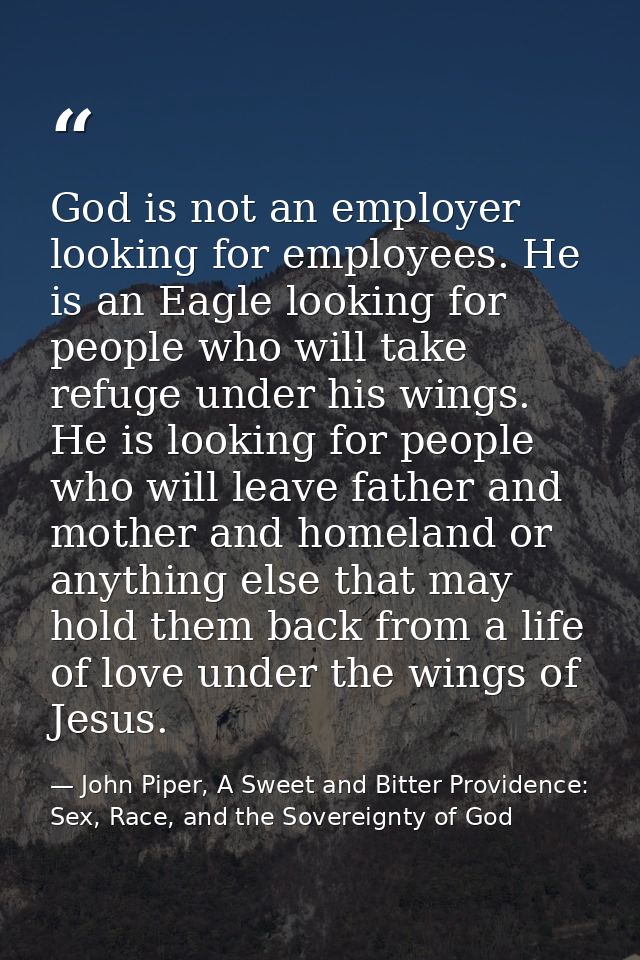 God is not an employer looking for employees. He is an Eagle looking for people who will take refuge under his wings. He — John Piper, A Sweet and Bitter Providence: Sex, Race, and the Sovereignty of God