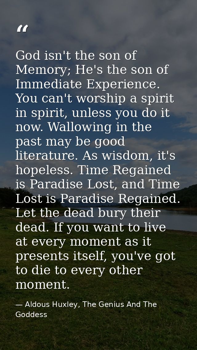 God isn't the son of Memory; He's the son of Immediate Experience. You can't worship a spirit in spirit, unless you do i — Aldous Huxley, The Genius And The Goddess