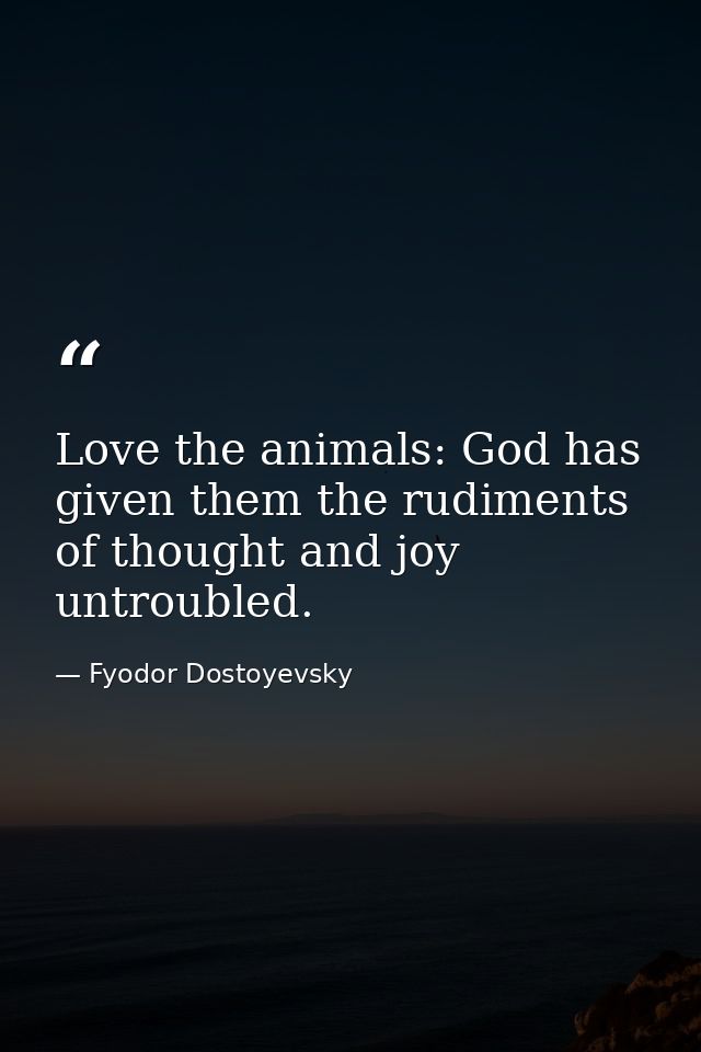 Love the animals: God has given them the rudiments of thought and joy untroubled. — Fyodor Dostoyevsky