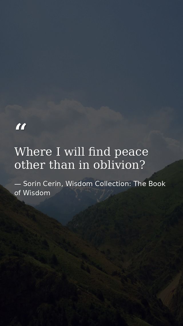Where I will find peace other than in oblivion? — Sorin Cerin, Wisdom Collection: The Book of Wisdom