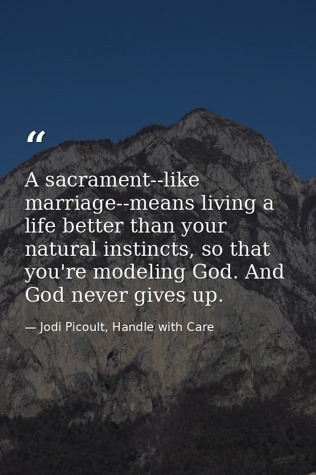 A sacrament--like marriage--means living a life better than your natural instincts, so that you're modeling God. And God — Jodi Picoult, Handle with Care