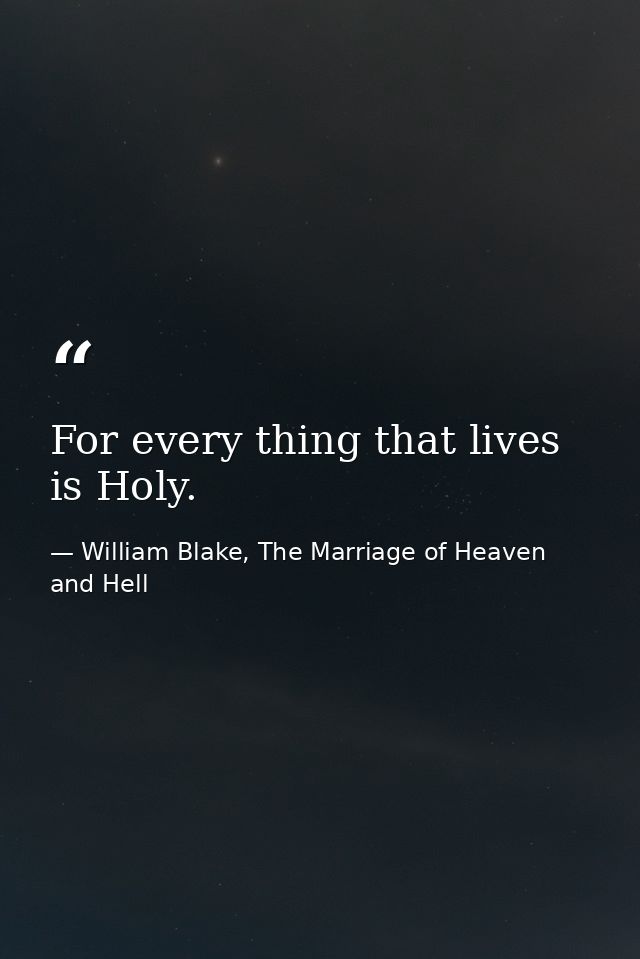 For every thing that lives is Holy. — William Blake, The Marriage of Heaven and Hell