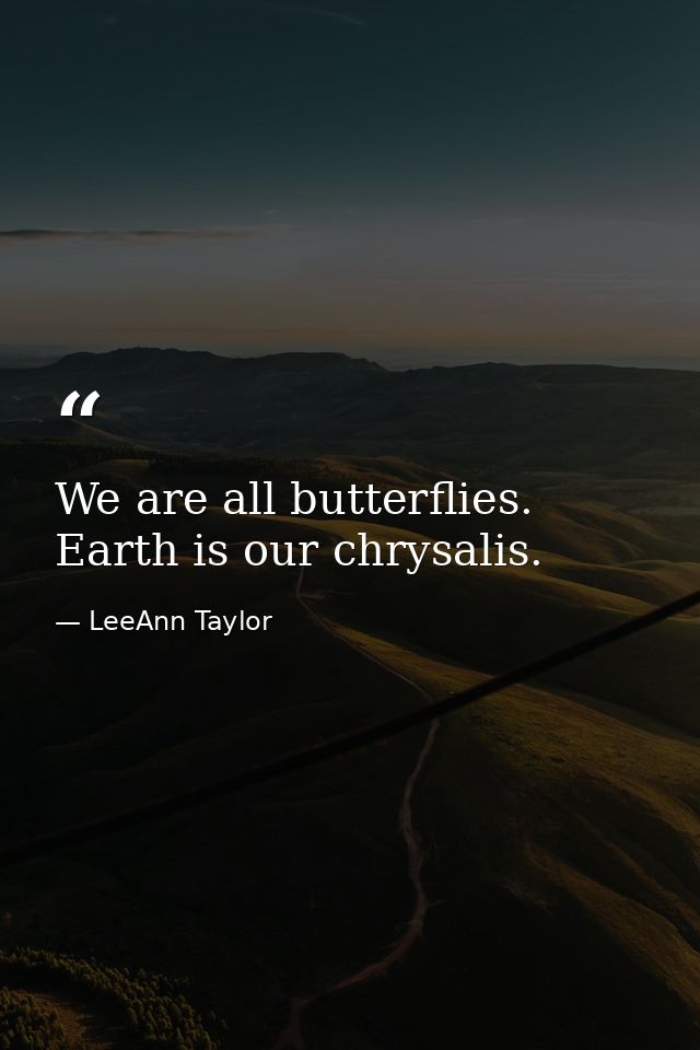 We are all butterflies. Earth is our chrysalis. — LeeAnn Taylor