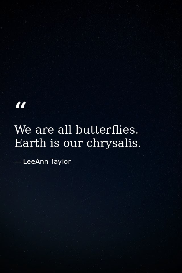 We are all butterflies. Earth is our chrysalis. — LeeAnn Taylor