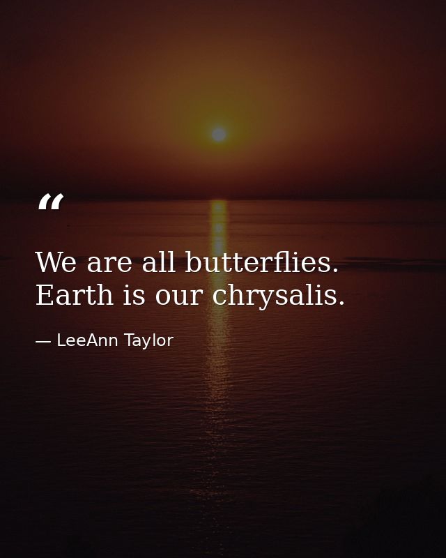 We are all butterflies. Earth is our chrysalis. — LeeAnn Taylor