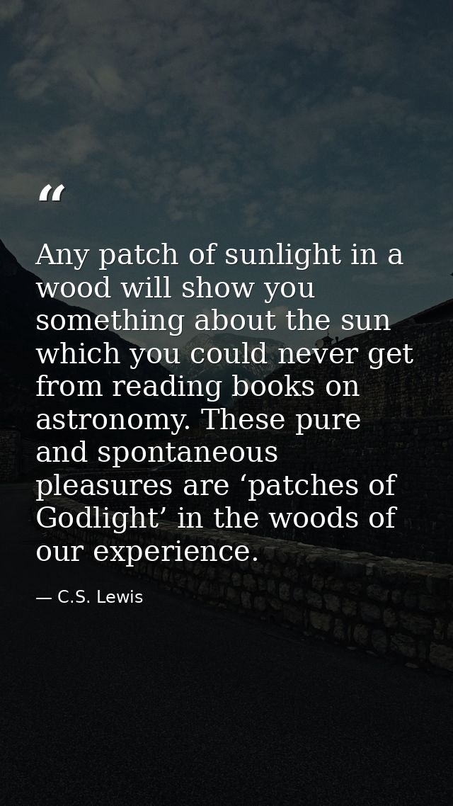 Any patch of sunlight in a wood will show you something about the sun which you could never get from reading books on as — C.S. Lewis