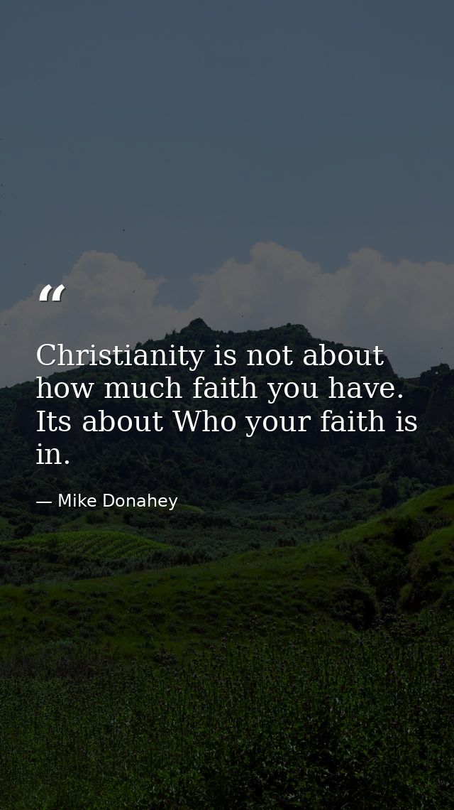Christianity is not about how much faith you have. Its about Who your faith is in. — Mike Donahey