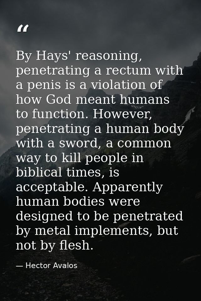 By Hays' reasoning, penetrating a rectum with a penis is a violation of how God meant humans to function. However, penet — Hector Avalos