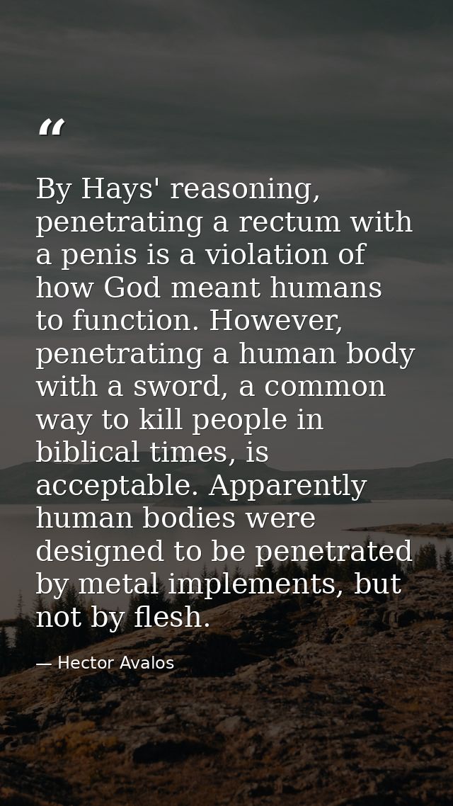 By Hays' reasoning, penetrating a rectum with a penis is a violation of how God meant humans to function. However, penet — Hector Avalos
