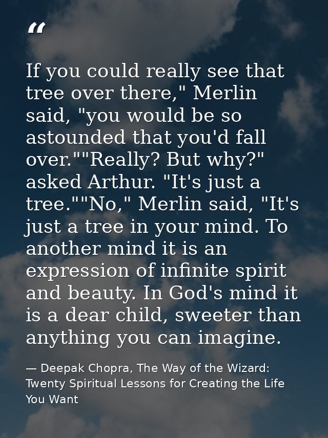 If you could really see that tree over there," Merlin said, "you would be so astounded that you'd fall over.""Really? Bu — Deepak Chopra, The Way of the Wizard: Twenty Spiritual Lessons for Creating the Life You Want