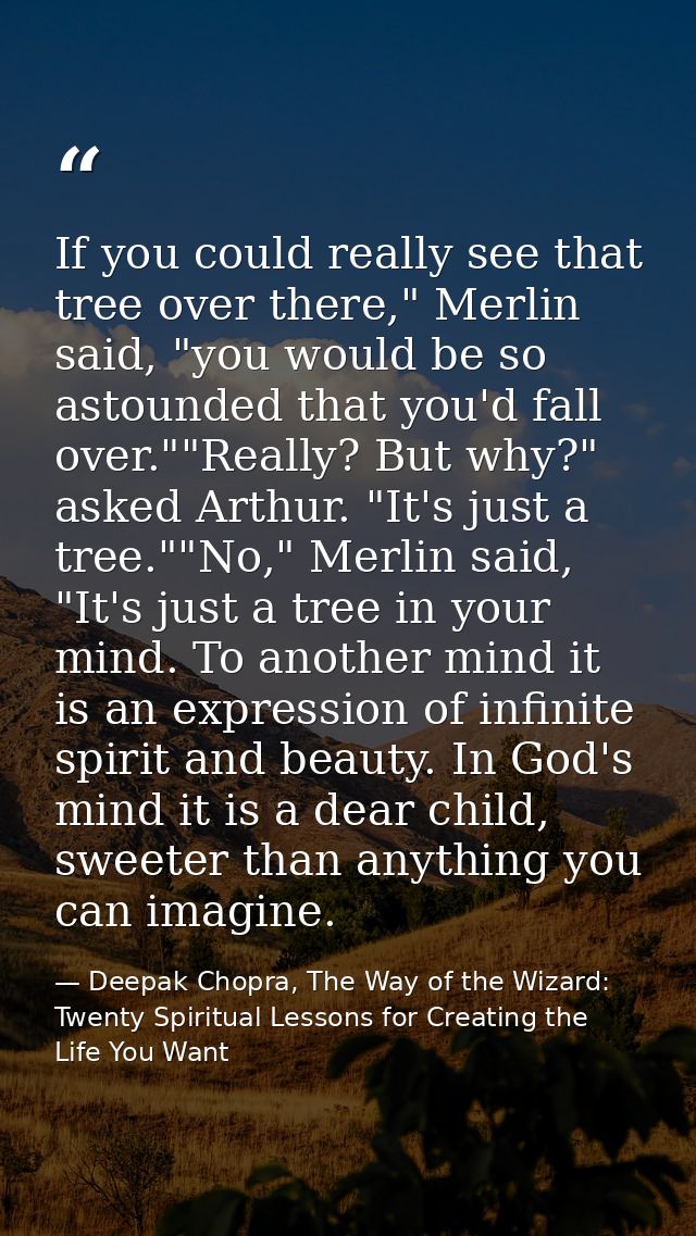 If you could really see that tree over there," Merlin said, "you would be so astounded that you'd fall over.""Really? Bu — Deepak Chopra, The Way of the Wizard: Twenty Spiritual Lessons for Creating the Life You Want