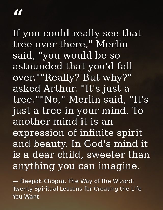 If you could really see that tree over there," Merlin said, "you would be so astounded that you'd fall over.""Really? Bu — Deepak Chopra, The Way of the Wizard: Twenty Spiritual Lessons for Creating the Life You Want