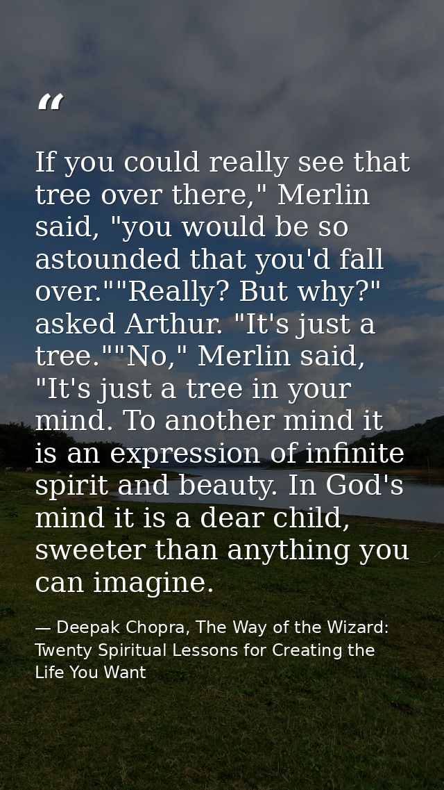If you could really see that tree over there," Merlin said, "you would be so astounded that you'd fall over.""Really? Bu — Deepak Chopra, The Way of the Wizard: Twenty Spiritual Lessons for Creating the Life You Want