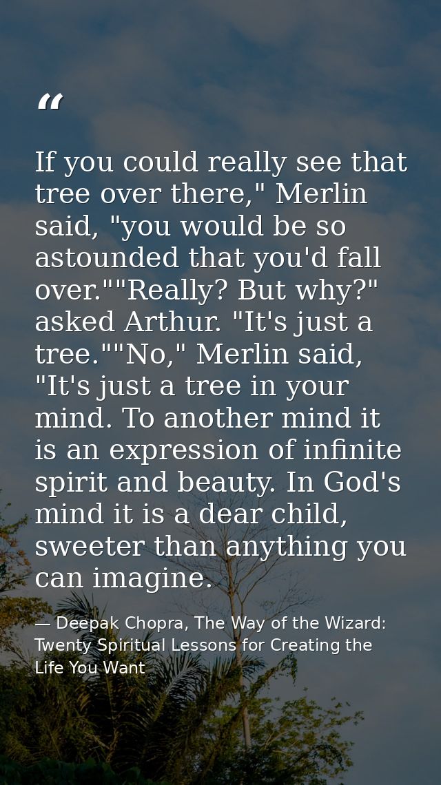 If you could really see that tree over there," Merlin said, "you would be so astounded that you'd fall over.""Really? Bu — Deepak Chopra, The Way of the Wizard: Twenty Spiritual Lessons for Creating the Life You Want