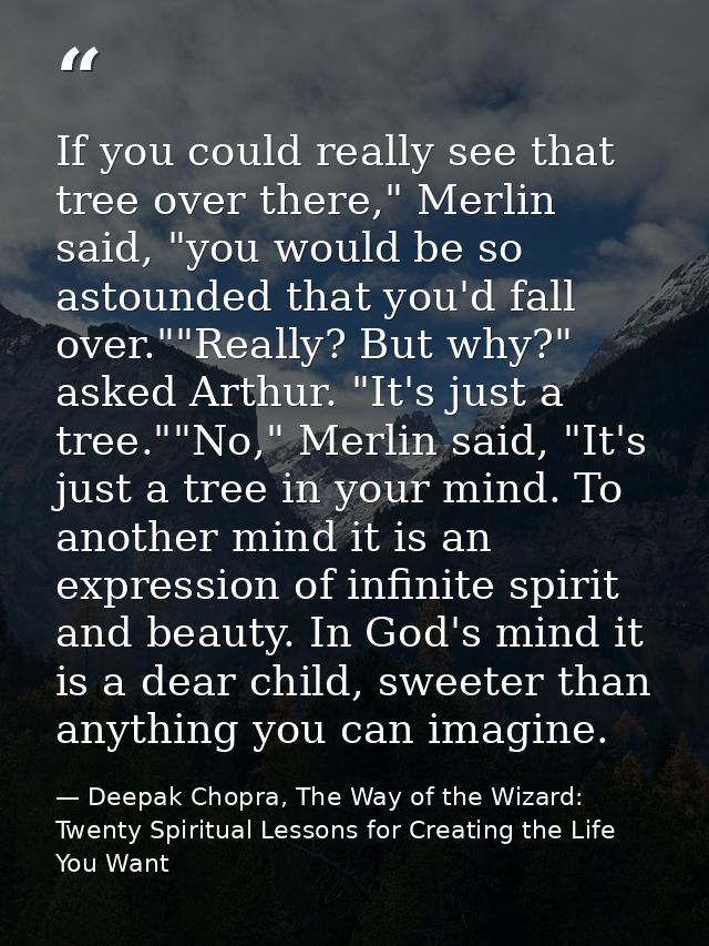 If you could really see that tree over there," Merlin said, "you would be so astounded that you'd fall over.""Really? Bu — Deepak Chopra, The Way of the Wizard: Twenty Spiritual Lessons for Creating the Life You Want