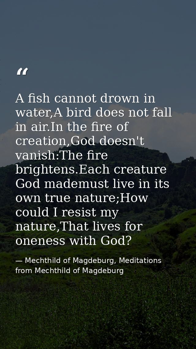 A fish cannot drown in water,A bird does not fall in air.In the fire of creation,God doesn't vanish:The fire brightens.E — Mechthild of Magdeburg, Meditations from Mechthild of Magdeburg