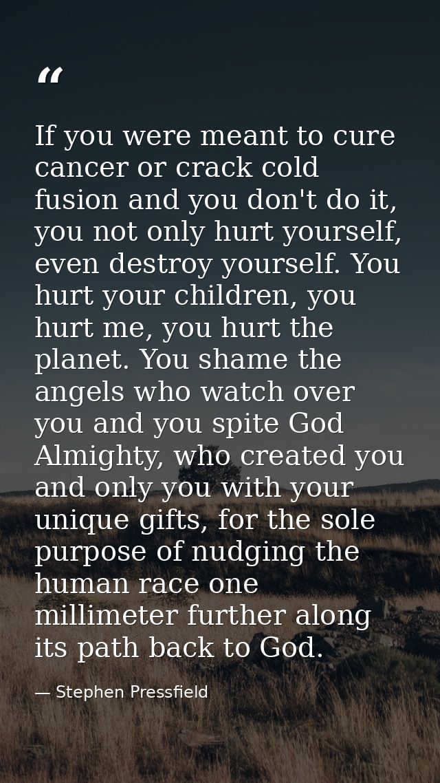 If you were meant to cure cancer or crack cold fusion and you don't do it, you not only hurt yourself, even destroy your — Stephen Pressfield