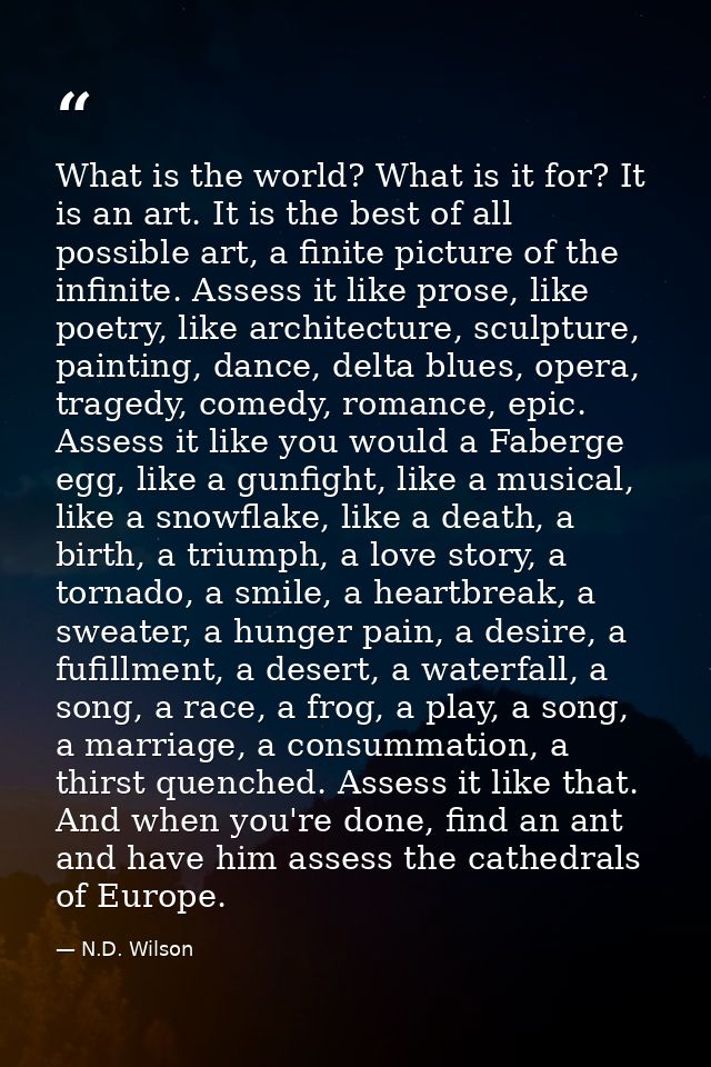 What is the world? What is it for? It is an art. It is the best of all possible art, a finite picture of the infinite. A — N.D. Wilson