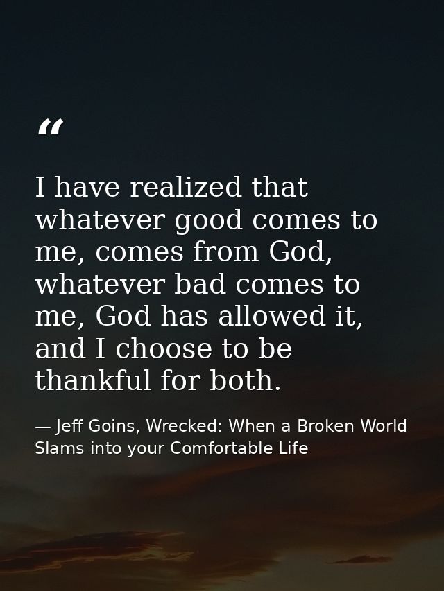 I have realized that whatever good comes to me, comes from God, whatever bad comes to me, God has allowed it, and I choo — Jeff Goins, Wrecked: When a Broken World Slams into your Comfortable Life