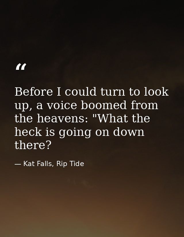 Before I could turn to look up, a voice boomed from the heavens: "What the heck is going on down there? — Kat Falls, Rip Tide