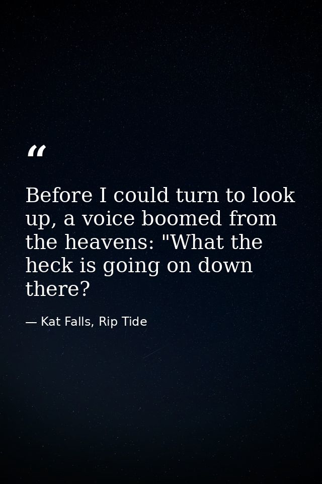 Before I could turn to look up, a voice boomed from the heavens: "What the heck is going on down there? — Kat Falls, Rip Tide