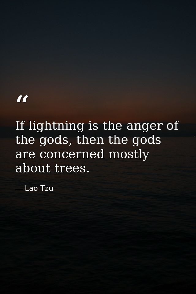 If lightning is the anger of the gods, then the gods are concerned mostly about trees. — Lao Tzu
