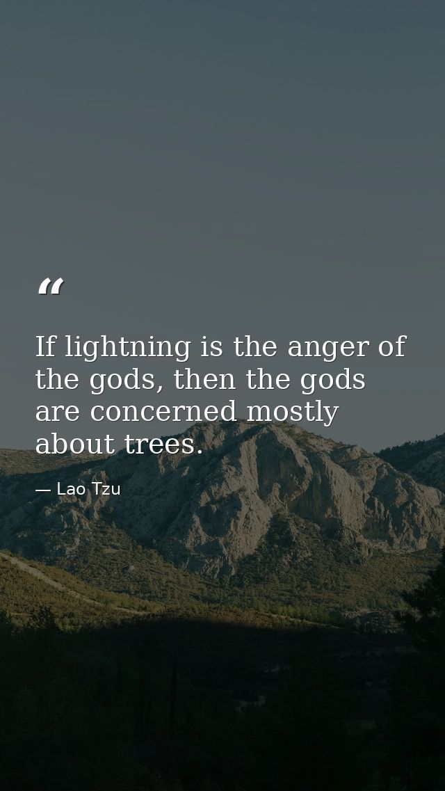 If lightning is the anger of the gods, then the gods are concerned mostly about trees. — Lao Tzu