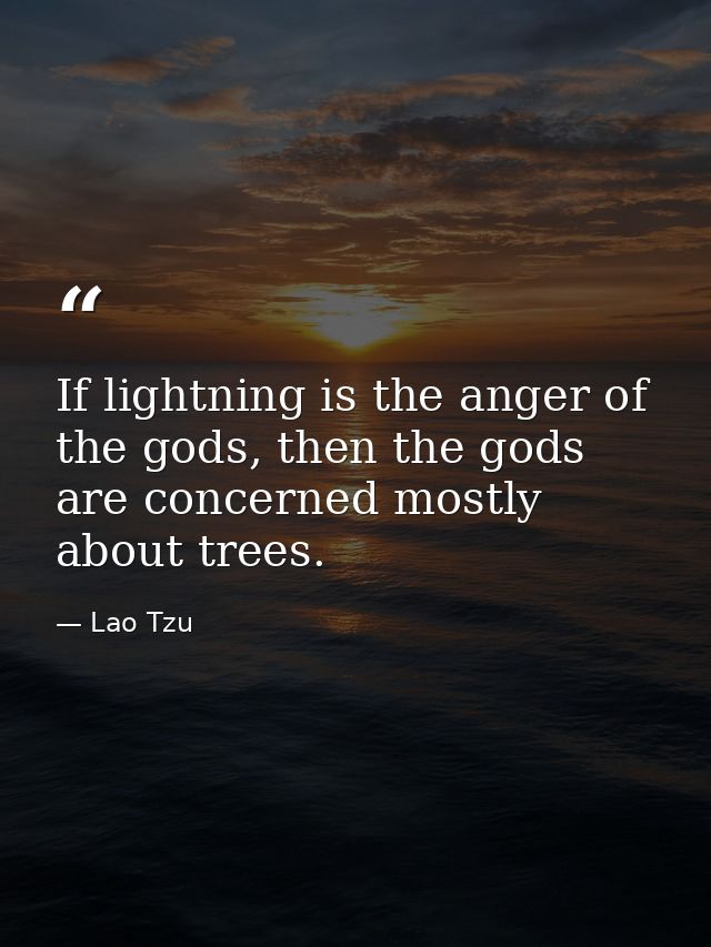 If lightning is the anger of the gods, then the gods are concerned mostly about trees. — Lao Tzu